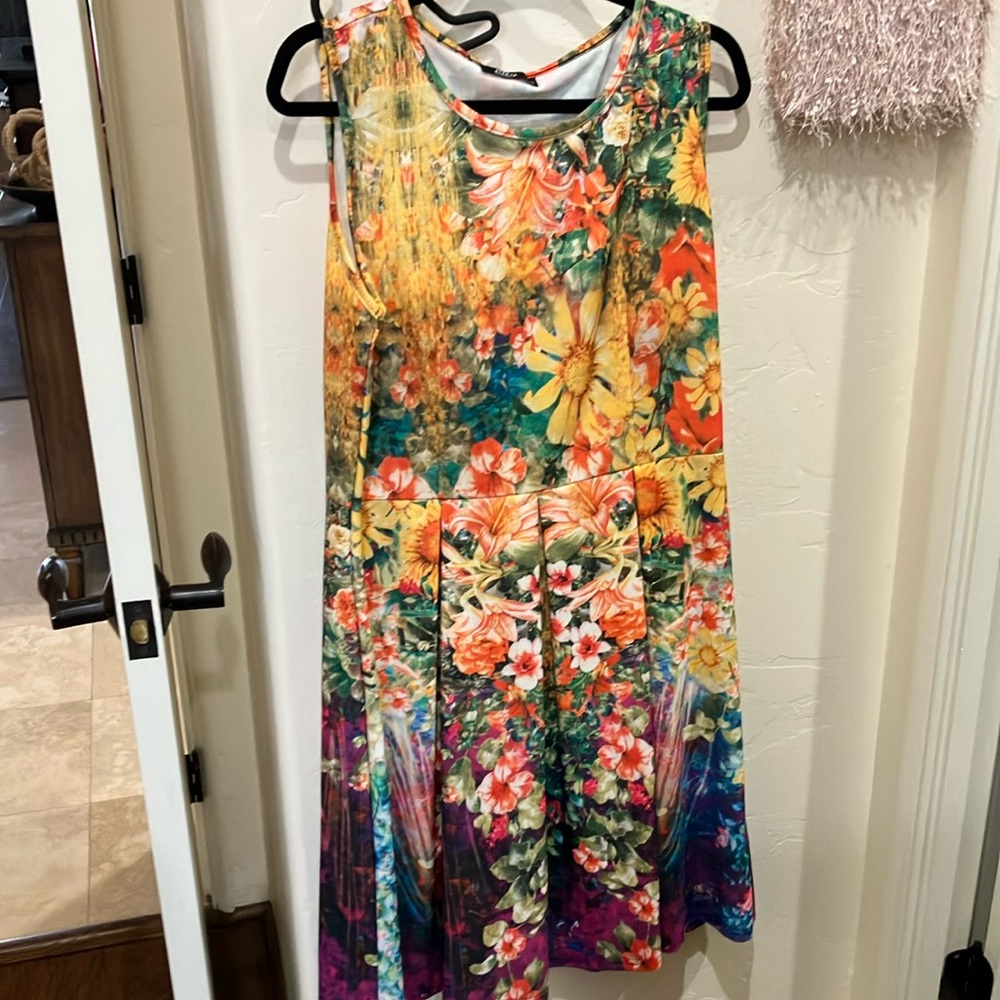NWOT summer sleeveless pull on dress with fun print and flattering pleats